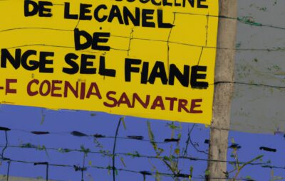 Francia, scontri alla riserva idrica di Sainte-Soline: diversi feriti, uno è grave