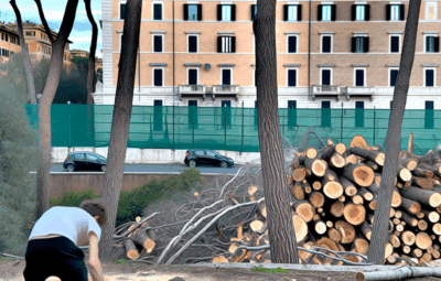 Roma Capitale e l'abbattimento degli alberi: cosa sta succedendo a Monteverde e all'Eur